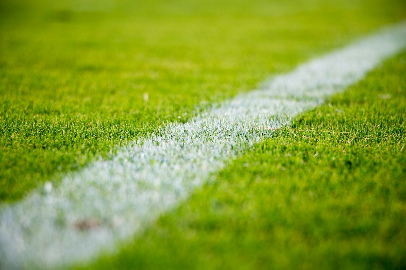 White touchline painted on a green soccer pitch